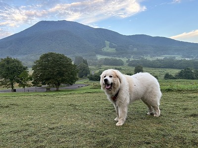 s-IMG_0005