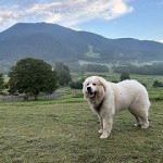 s-s-IMG_0005